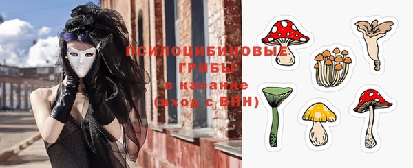 ПСИЛОЦИБИНОВЫЕ ГРИБЫ Абдулино