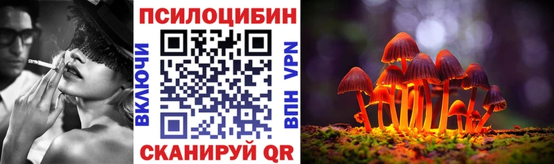 Галлюциногенные грибы Psilocybine cubensis  Магнитогорск 